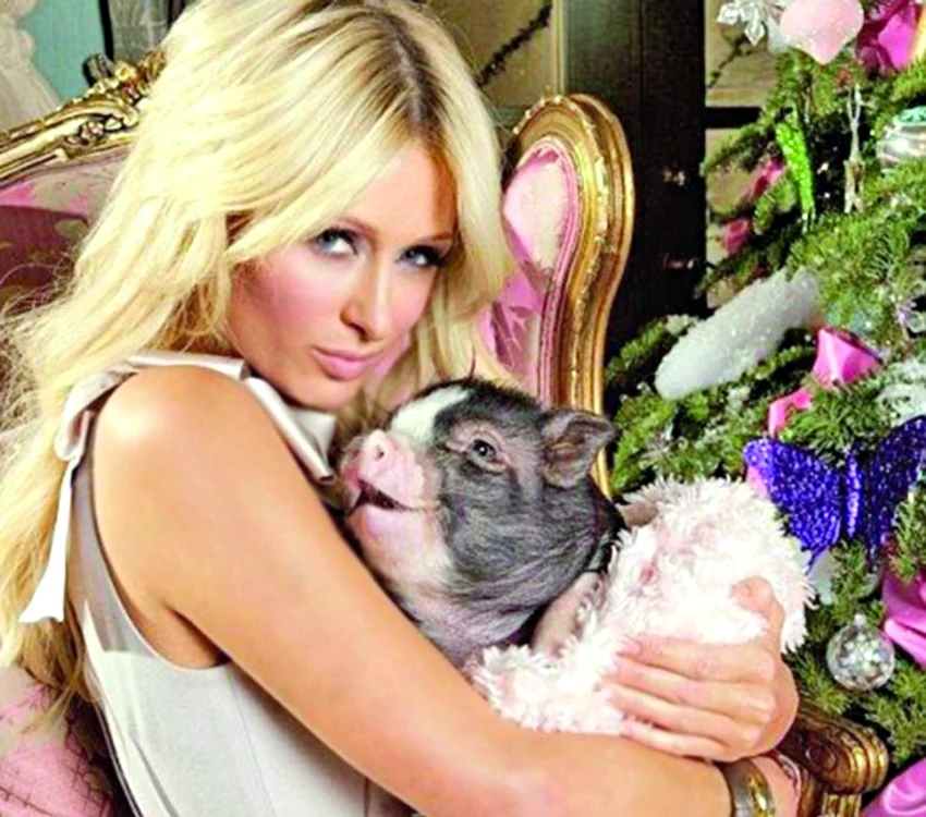 Paris Hilton şi soţii Beckham au lansat moda