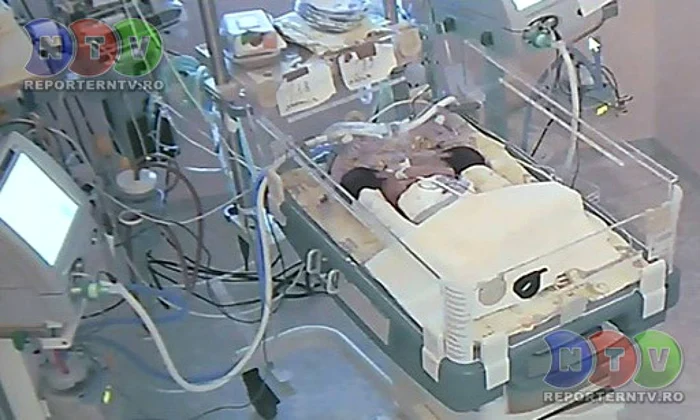 
    Surioarele împart aceeași inimă  