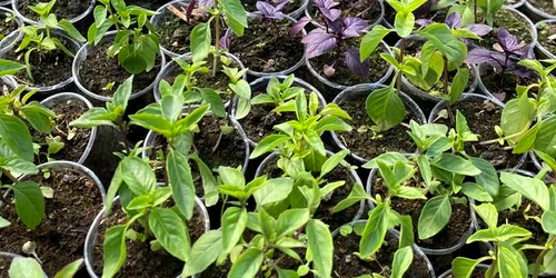 341895040 1611199776066689 5442467953300957661 n jpg