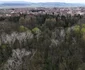 Parcul dendrologic Simeria Foto Daniel Guță ADEVĂRUL (6) JPG