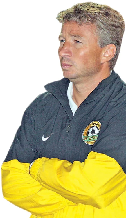 
    Dan Petrescu  