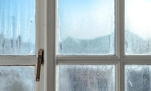 1 shutterstock 1555430087 jpg jpeg