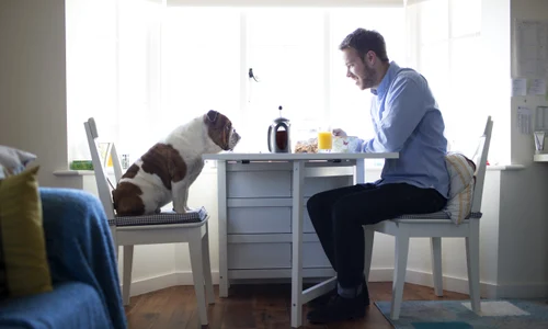 shutterstock 367398986 jpg