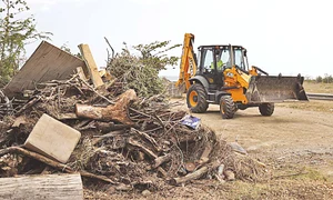 24 peglob foto3 85 50 dorian foto epa efe55421911 jpeg