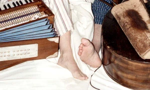 Tors de pisică acustică jpeg