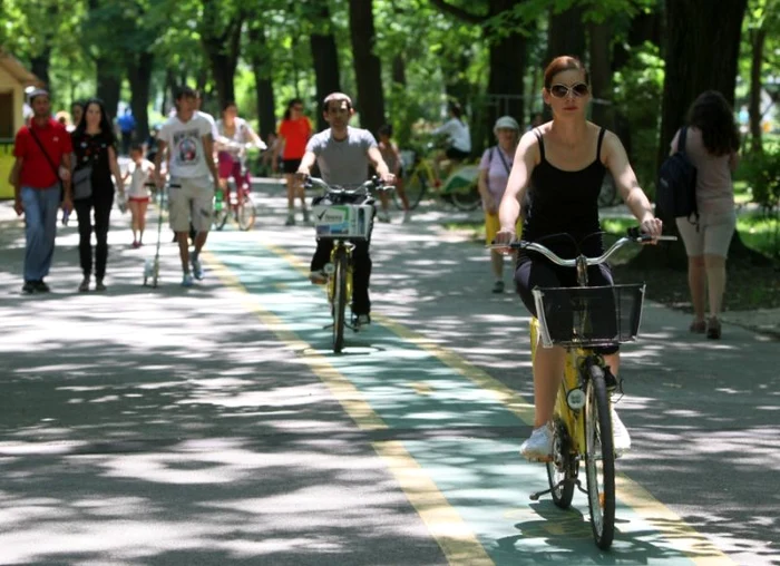 
    Vremea se încălzeşte în următoarele zileFoto: Dorin Constanda  
