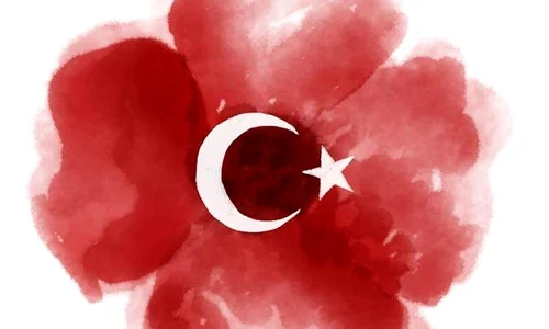 13507178 10157045231265058 114764966017486294 n jpeg