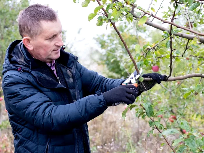 Amenzi usturătoare pentru cei care aruncă crengile copacilor la gunoi.