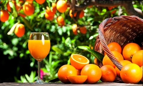 1 67399 original jpg jpeg