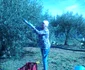 Sida Spătaru, în Italia la cules de măsline