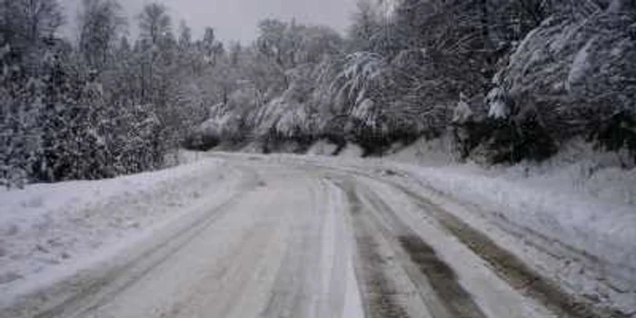 În Pădurea Bogăţii este zăpadă pe carosabil. FOTOAdevărul.