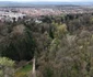 Parcul dendrologic Simeria Foto Daniel Guță ADEVĂRUL (20) JPG