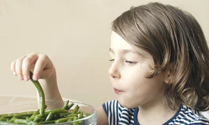 shutterstock 616300403 jpg