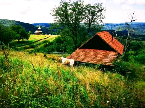 Casa lui Arsenie Boca, Foto Imobiliare.ro  