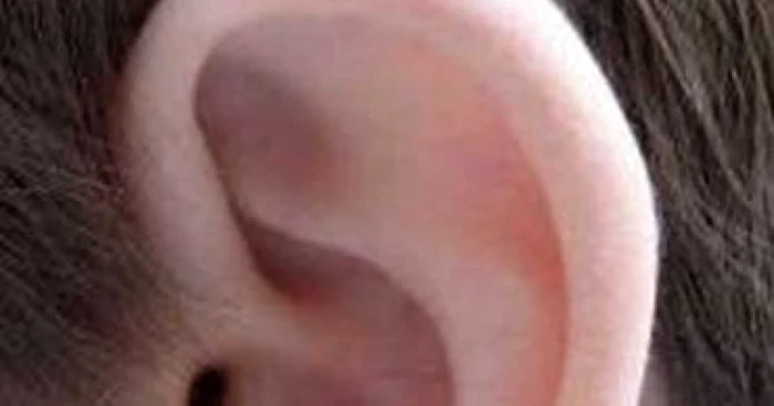 Satu Mare: Adevarul la minut