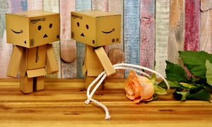 i beg your pardon 3164883 1920 jpeg