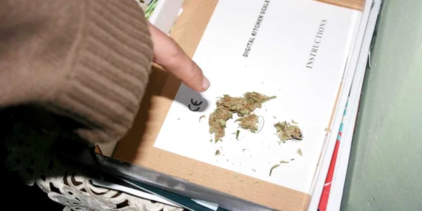 cannabis
