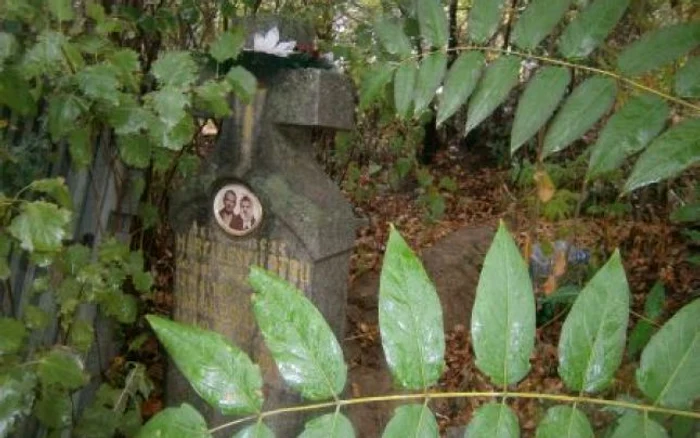 Unele morminte nu se mai văd din cauza buruienilor