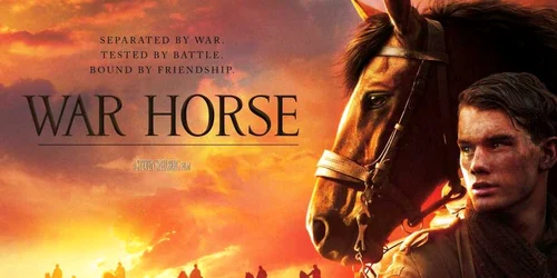 war horse
