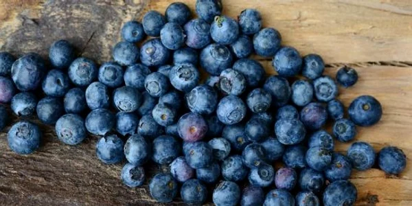 Dieta cu afine. Scapă de burtă cu ajutorul acestor mici fructe parfumate