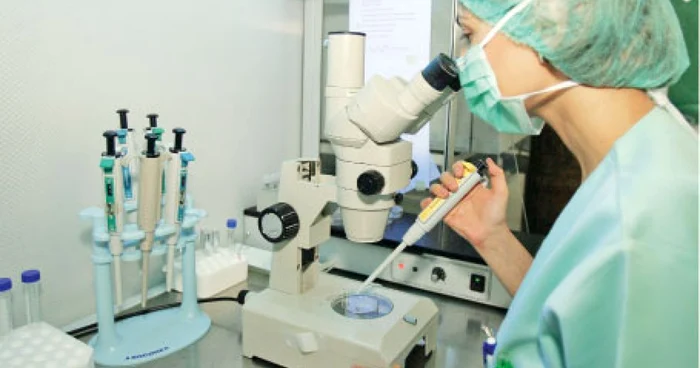 Fertilizarea in vitro presupune fecundarea şi obţinerea embrionilor în laborator, apoi implantarea lor în uterul femeii