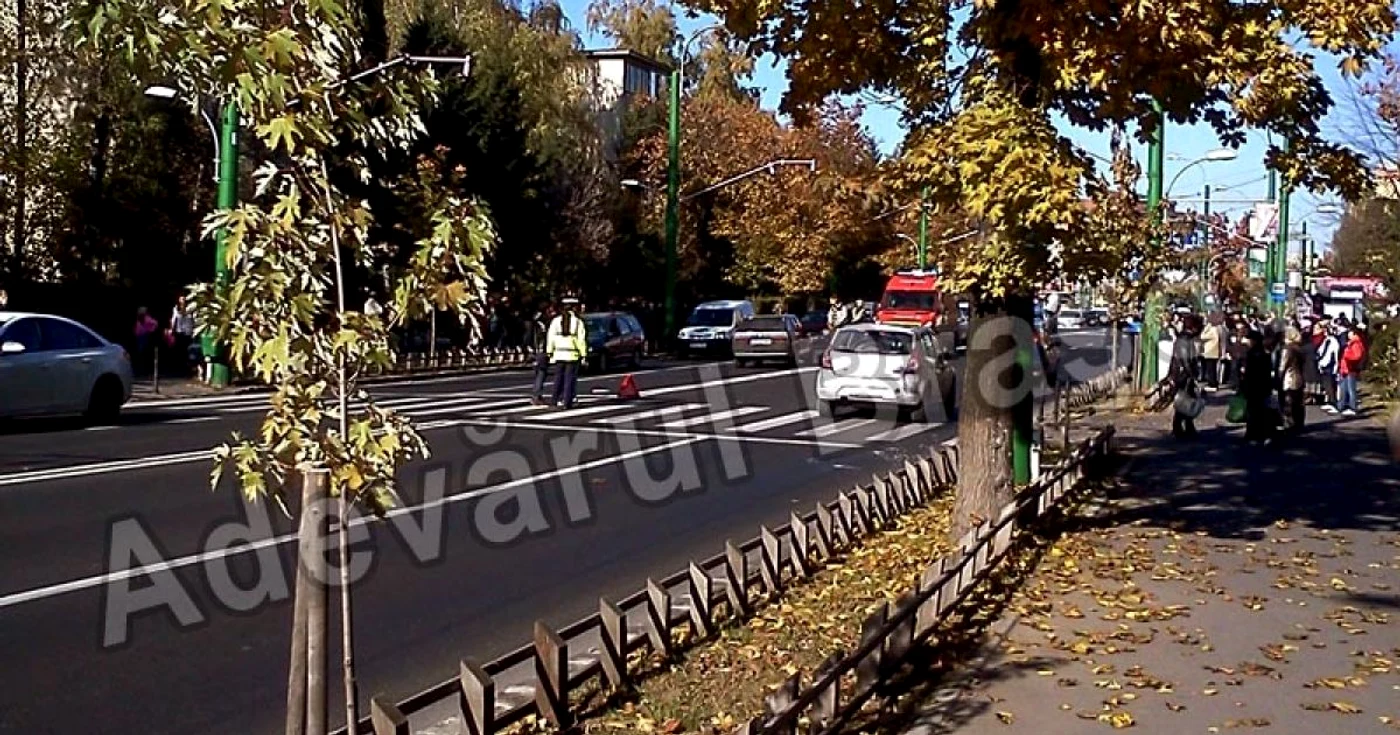 Poliţiştii au deschis o anchetă în acest caz Foto.Flavia Cistian