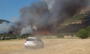 Arde pădurea în Tulcea FOTO Facebook 