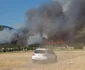 Arde pădurea în Tulcea FOTO Facebook 