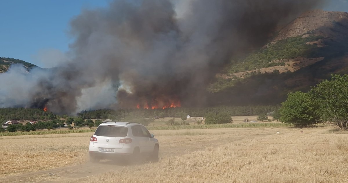 Incendiu devastator în Tulcea: 80 de hectare de pădure, elicopter Black Hawk pe teren!