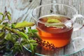 ceaiul tulsi jpg
