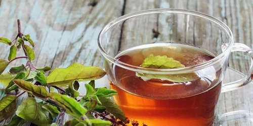 ceaiul tulsi jpg