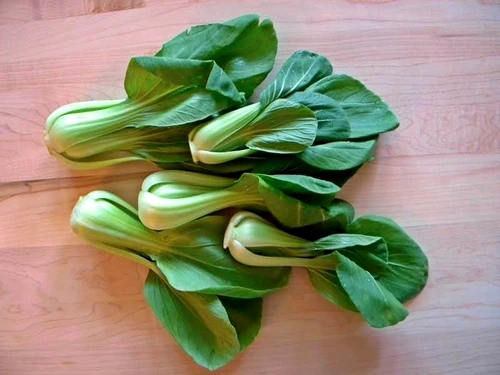 bok choy jpg jpeg