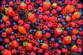 Fructe de padure shutterstock 537546088 jpg