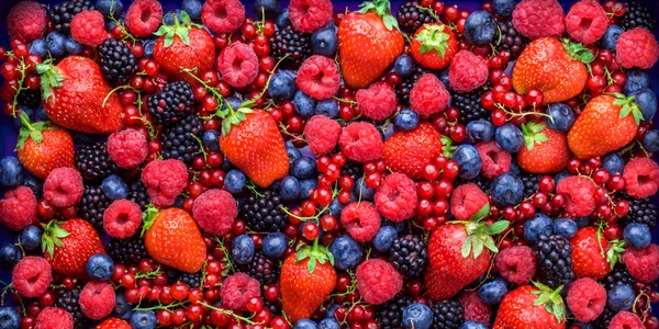 Fructe de padure shutterstock 537546088 jpg