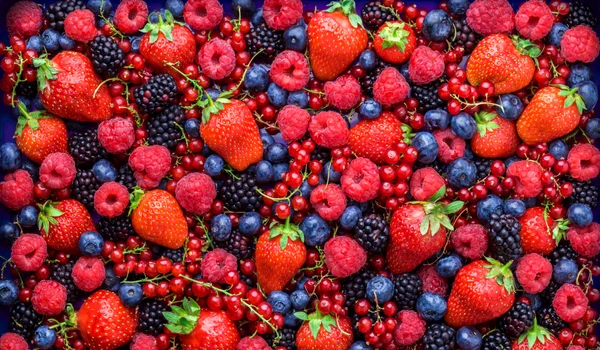 Fructe de padure shutterstock 537546088 jpg