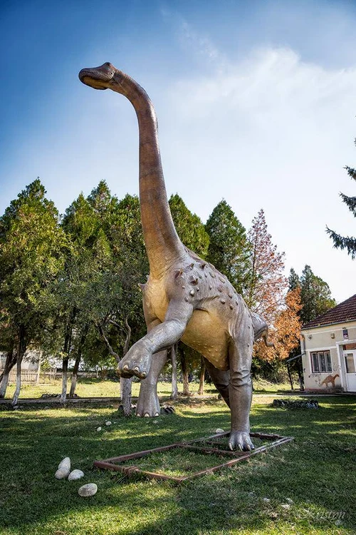 Magyarosaurus la Sălașu de sus Foto Geoparcul Internațional UNESCO Țara Hațegului