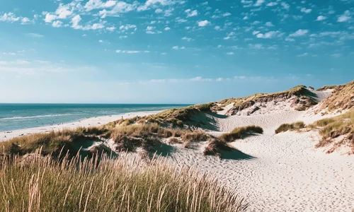 okmagazine kelly dbv m3GnbH5afbY unsplash jpg