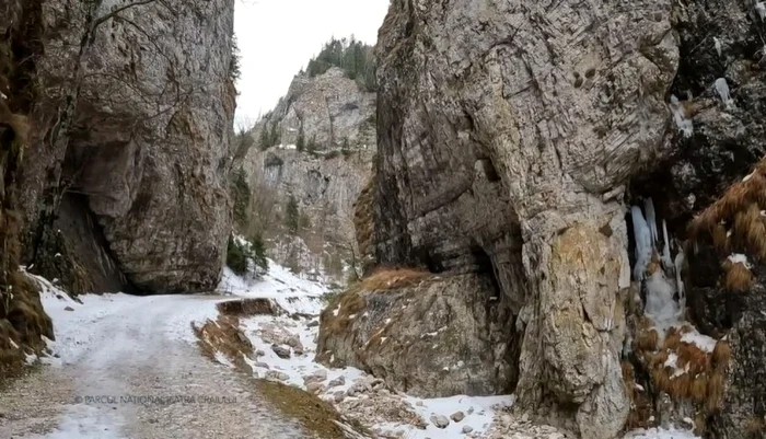 Captură video Mircea Vergheleţ - Romsilva