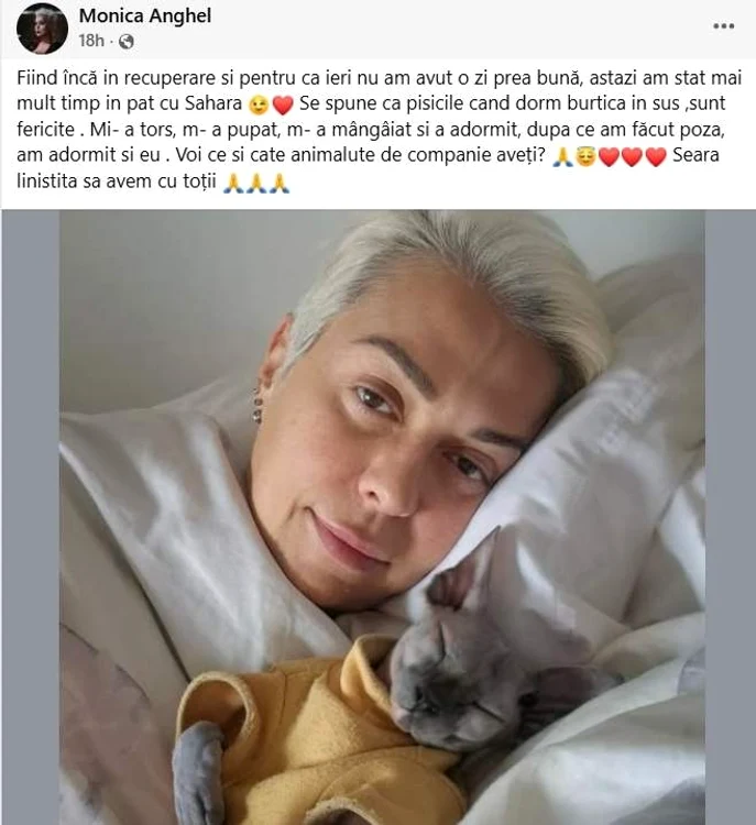 Postarea Monicăi Anghel - Foto: Facebook
