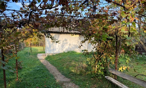 Casa unde trăiau cei doi frați și minorul, era situată la marginea satului jpeg