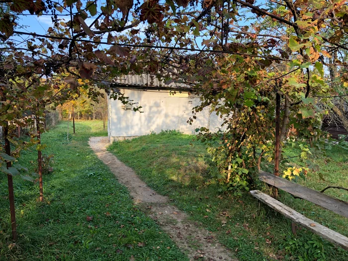 Casa unde trăiau cei doi frați și minorul, era situată la marginea satului