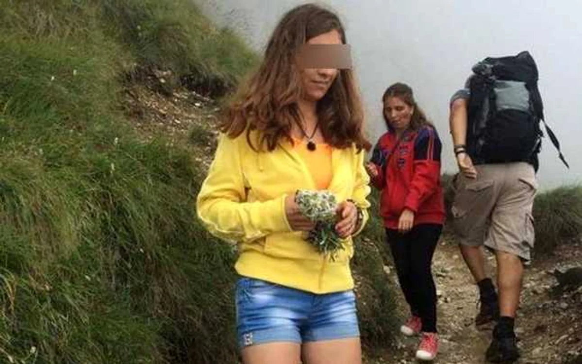 Turistă suprinsă în Şaua Caraimanului cu un buchet consistent de flori de colţ FOTO Bogdana Dobre