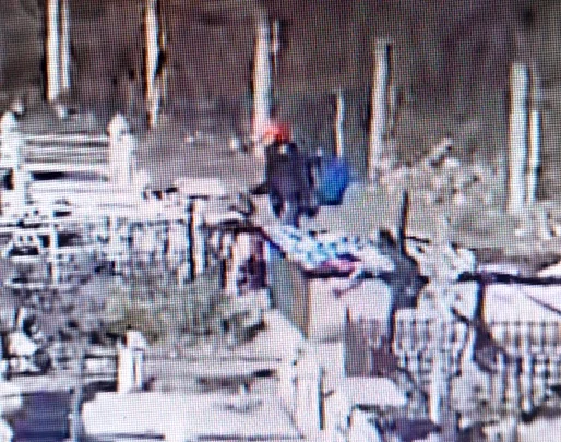 Momentul în care femeia sustrage flori de pe morminte FOTO Vremea Nouă