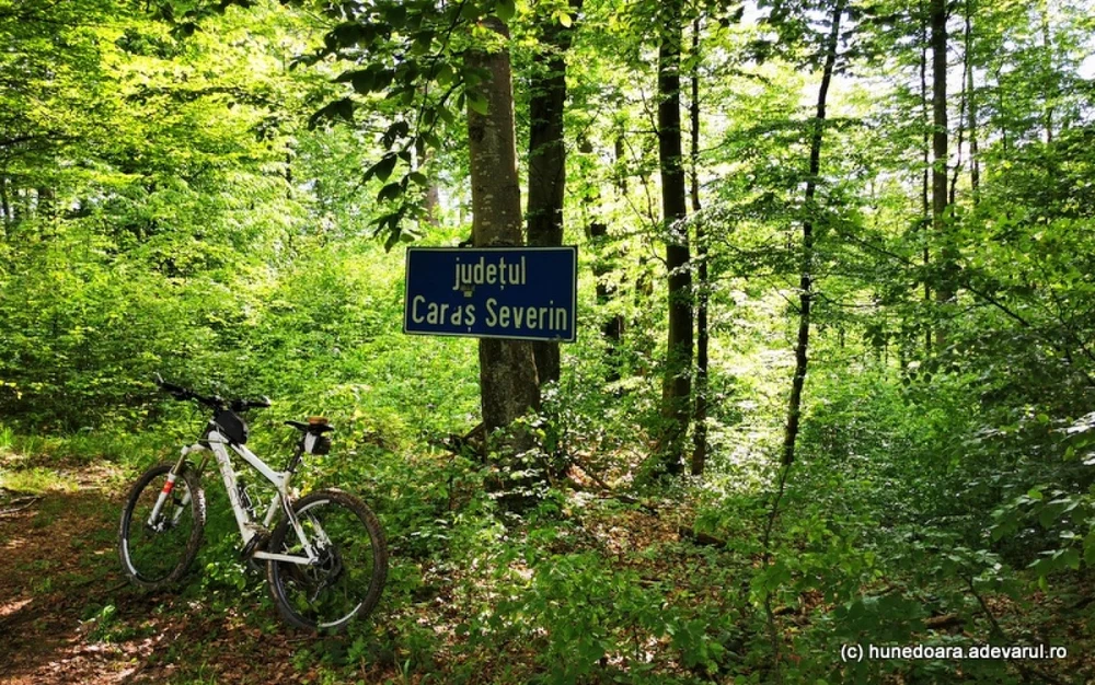 Drumul Marmurei, noua șosea montană din Munții Poiana Ruscă. Drumul prin sălbăticie leagă trei județe din vestul României