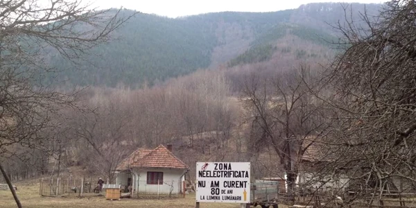 protest curent alba
