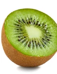 shutterstock 2448070581 jpg