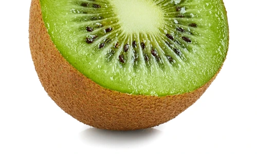 shutterstock 2448070581 jpg