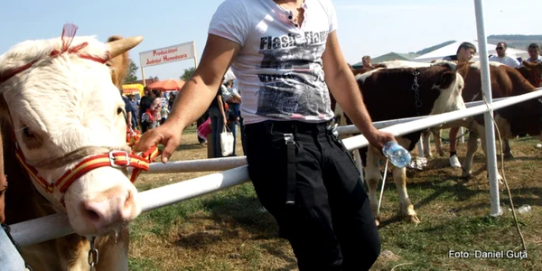 Fosta unitate militară din Hunedoara va ajunge târg de animale