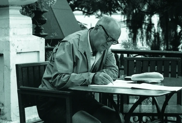 Dilema lui (Dmitri) Nabokov jpeg