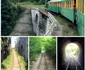 Semmeringul bănățean sau Mocănița Banatului din Caraș Șeverin Foto Banatul Montan Facebook
